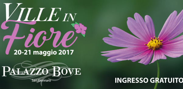 Bove-villeinfiore 2017-SITO